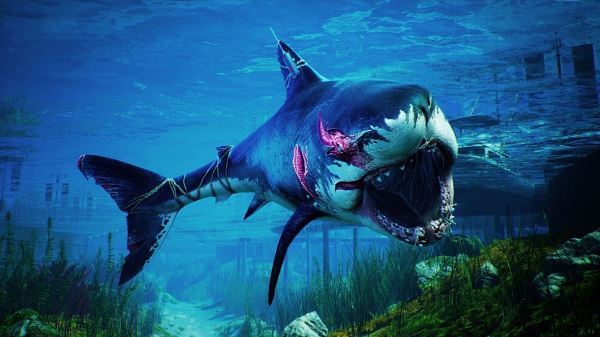 Бесплатные игры на ПК: что можно скачать в Steam, Epic Games Store и других магазинах