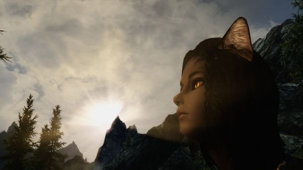 Моды для Skyrim: подборка "любви и романтики" для Скайрима