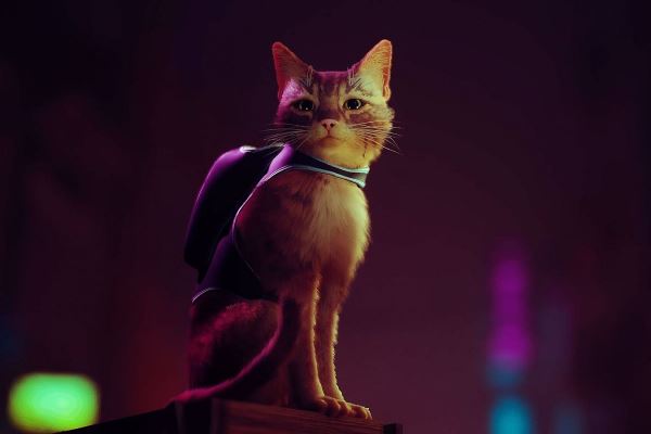 Stray, игра про котика в мире будущего, попала в чарты Steam