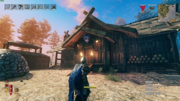 Valheim